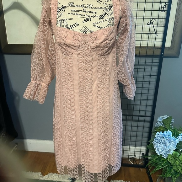 Burberry Blush Pink Lace Mini Dress - Picture 3 of 12